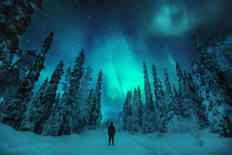 northern-lights-hunting-with-aurora-workshop