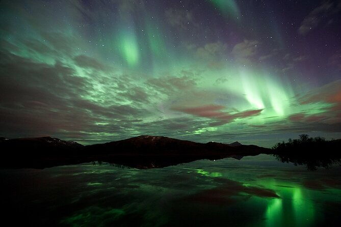 northern-lights-husky-visit