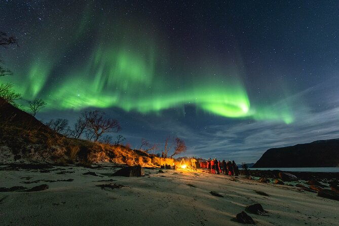 northern-lights-in-focus-tour-by-minibus-german-english-meal