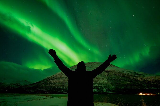 northern-lights-in-focus-tour-by-minibus-german-english-meal