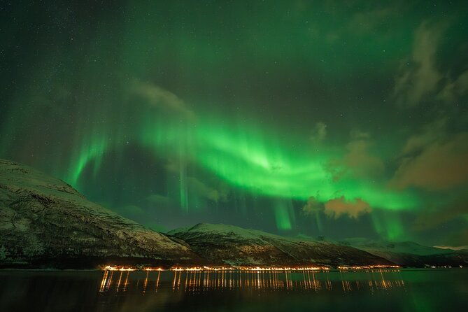 northern-lights-in-focus-tour-by-minibus-german-english-meal