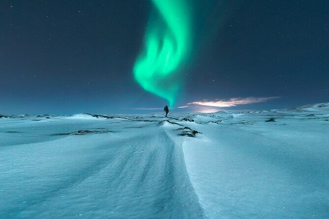Northern Lights Minibus Tour with Free Photos & Hot Chocolate - Final Thoughts