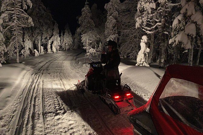 Northern Lights Night by Snowmobile (private tour) - What Makes This Tour Stand Out?