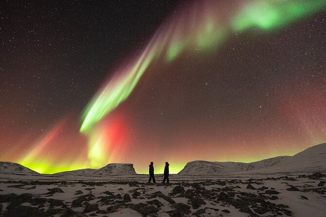 northern-lights-photo-expedition-dinner-included-from-abisko