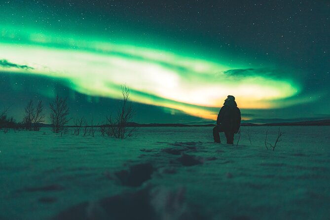 northern-lights-photo-expedition-dinner-included-from-abisko
