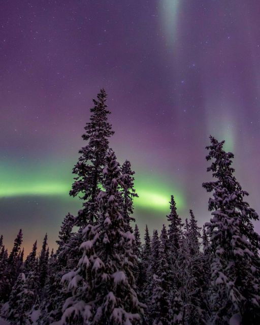 northern-lights-photography-tour-with-bbq
