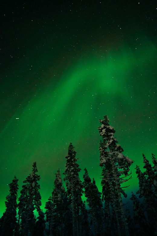 northern-lights-reindeer-sledge-ride-2