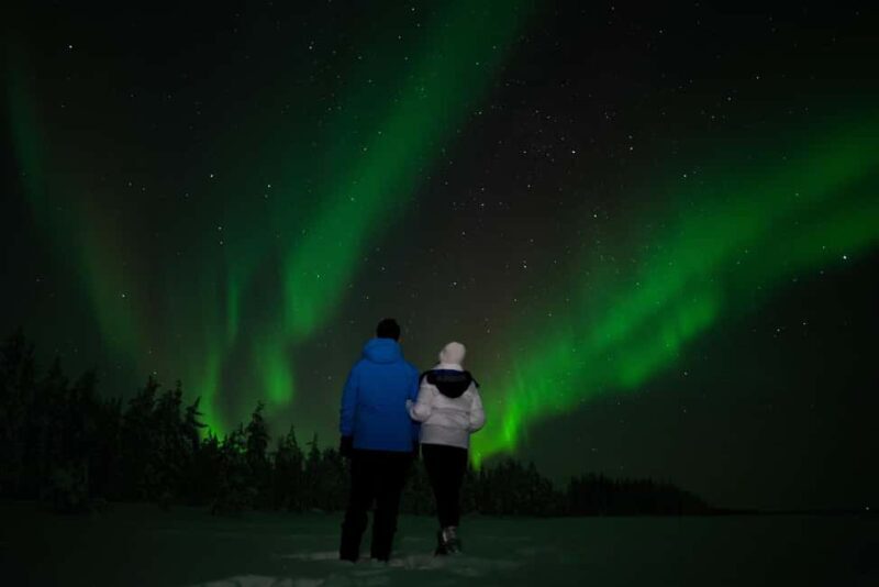 Northern Lights Reindeer Sledge Ride - Key Points