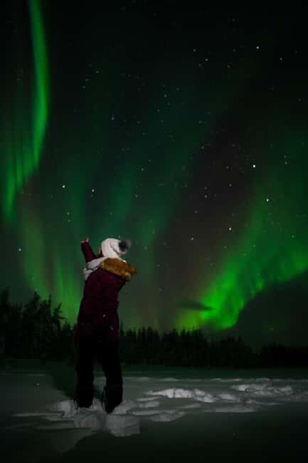 Northern Lights Reindeer Sledge Ride - An In-Depth Look at the Reindeer Sledge Ride