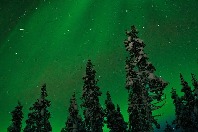 northern-lights-reindeer-sledge-ride