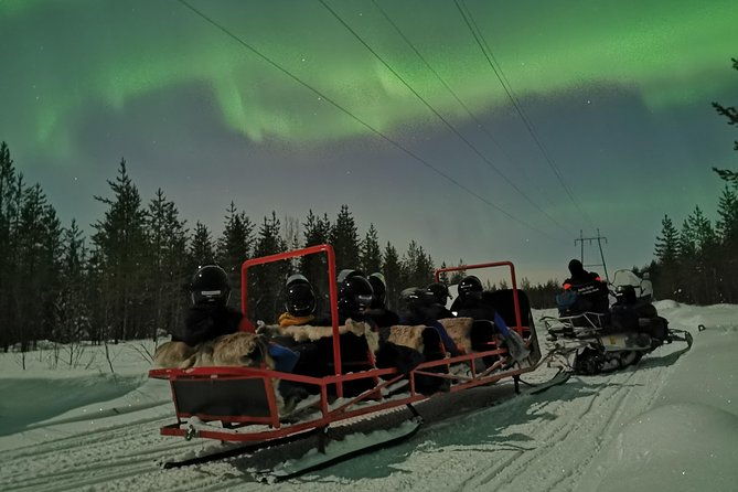 northern-lights-sledge-ride