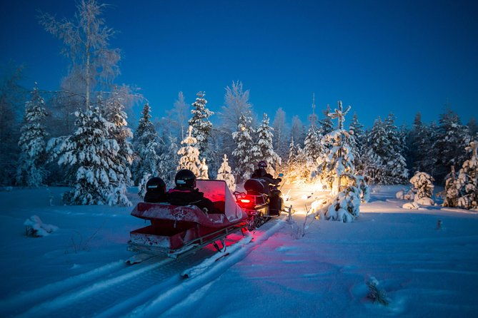 northern-lights-sledge-ride