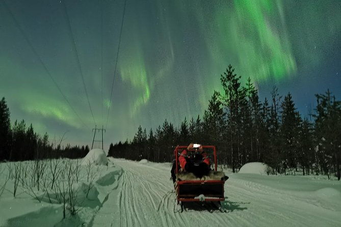 northern-lights-sledge-ride