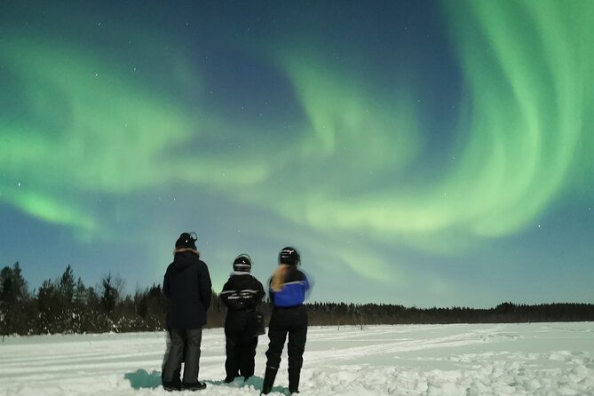 northern-lights-sledge-ride