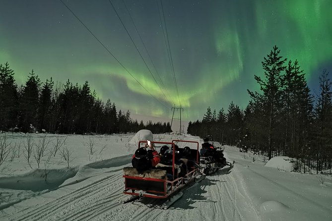 northern-lights-sledge-ride