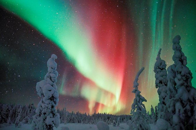 northern-lights-snowmobile-driving-safari