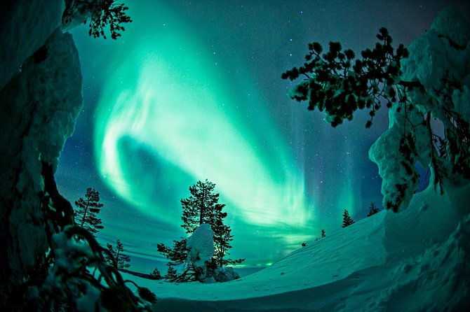 northern-lights-snowmobile-driving-safari