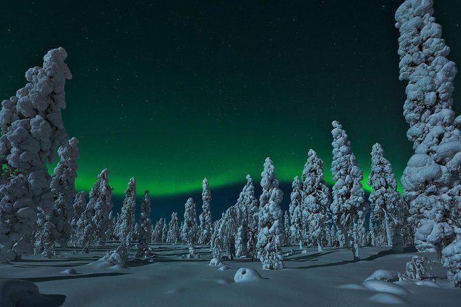 Northern Lights Snowmobile Safari from Rovaniemi with Campfire Picnic - Who Will Love This Tour?
