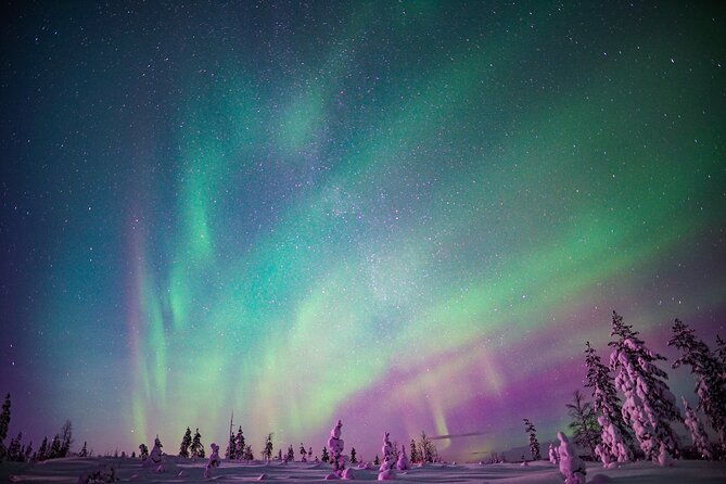 northern-lights-snowmobile-sledge-ride-in-rovaniemi