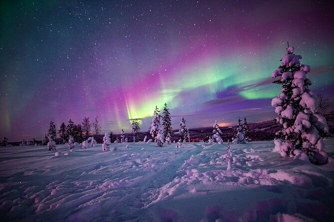 northern-lights-snowmobile-sledge-ride-in-rovaniemi