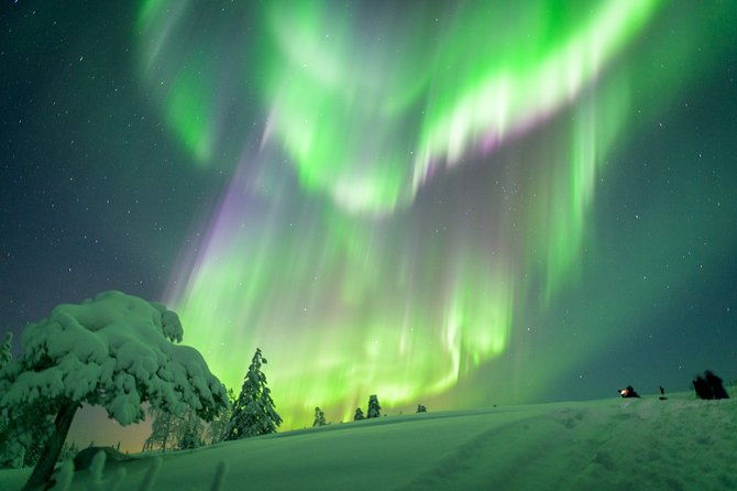 northern-lights-snowmobile-sleigh-ride
