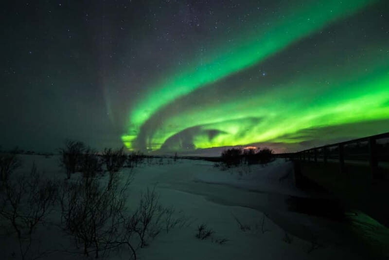 Northern Lights Spotting Tour from the Cruise Harbor - Starting Point and Logistics