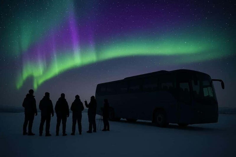 Northern Lights Spotting Tour from the Cruise Harbor - The Route and What You’ll See