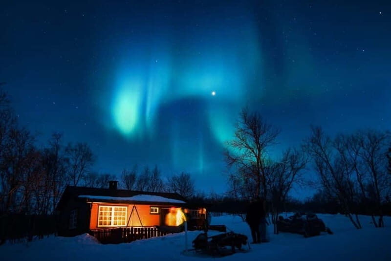 Northern Lights Spotting Tour from the Cruise Harbor - Price and Value