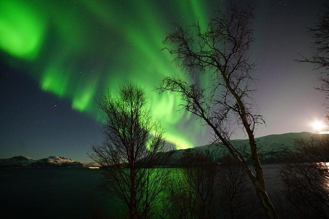 northern-lights-teslax-ecofriendly-car-2