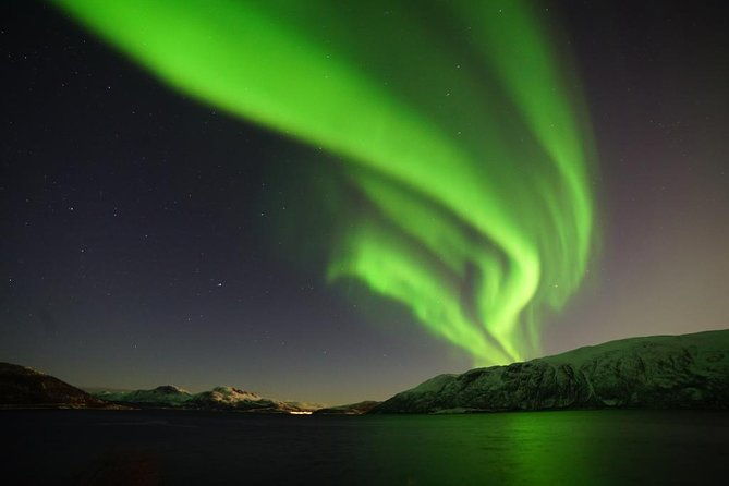 northern-lights-teslax-ecofriendly-car