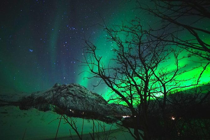 northern-lights-teslax-ecofriendly-car