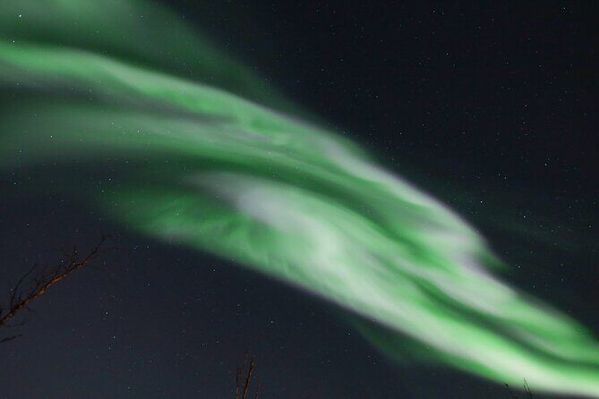 Northern Lights Tour & Arctic Experience - more than just a chase - Who Would Love This Tour?