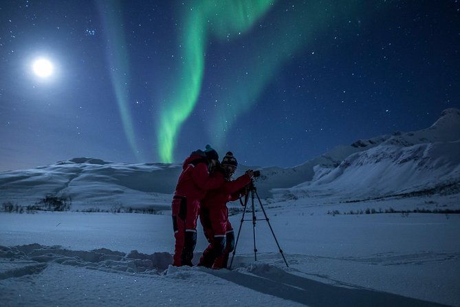 northern-lights-tour-from-tromso