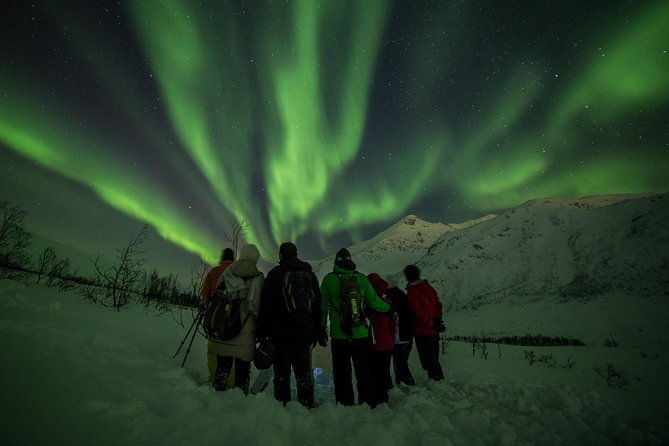 northern-lights-tour-from-tromso