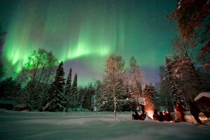 northern-lights-tour-in-atmospheric-cottage