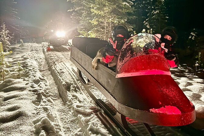 northern-lights-tour-sleigh-ride