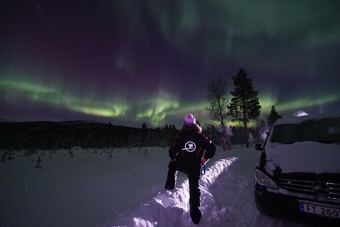 Northern Lights tour with Alta Adventure - Deep Dive into the Itinerary