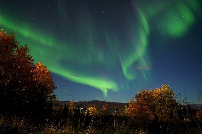 Northern Lights tour with Alta Adventure - What to Expect During the Tour