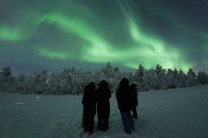 northern-lights-tour-with-bbq-and-drinks