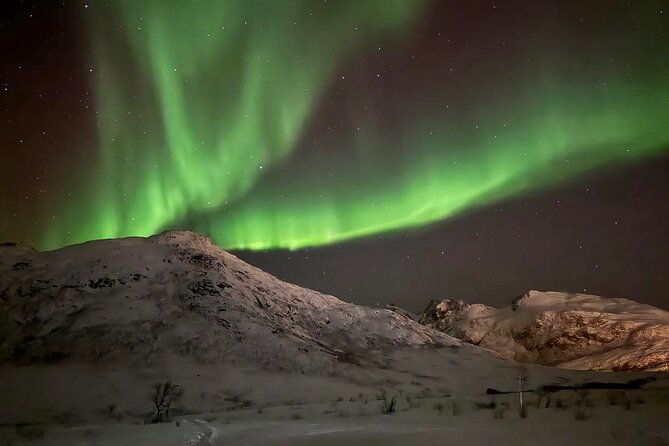 northern-lights-tour-with-hot-food-and-drinks-in-tromso