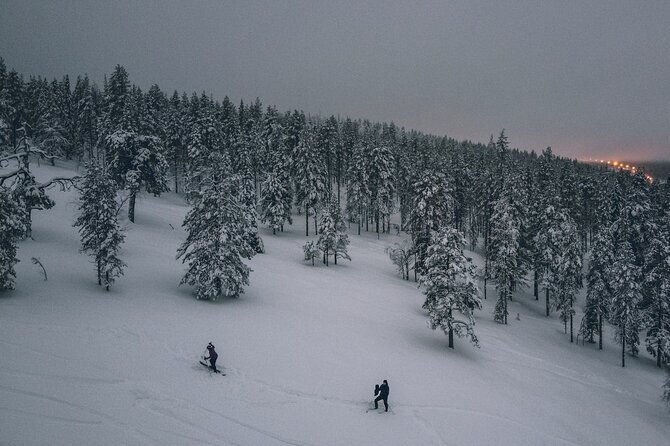 northern-lights-tour-with-skis-or-snowshoes-in-pyha
