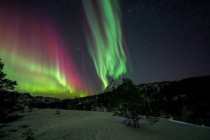 Northern Lights Tours Bodo Norway - Transportation & Comfort