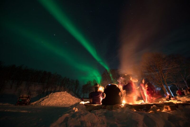 northern-lights-tromso-small-group-tour-with-local-guide