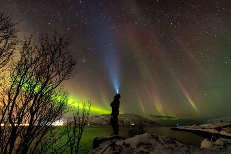 northern-lights-tromso-small-group-tour-with-local-guide