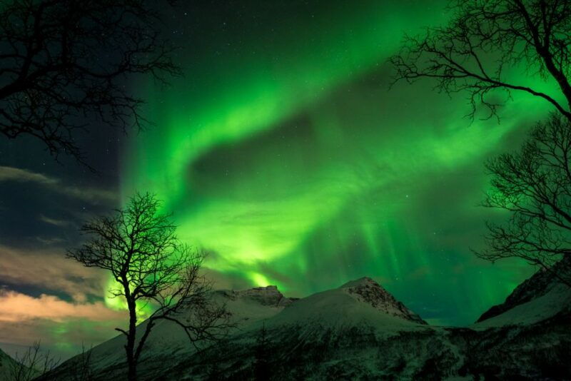 northern-lights-tromso-small-group-tour-with-local-guide