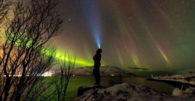 northern-lights-tromso-small-group-tour-with-local-guide