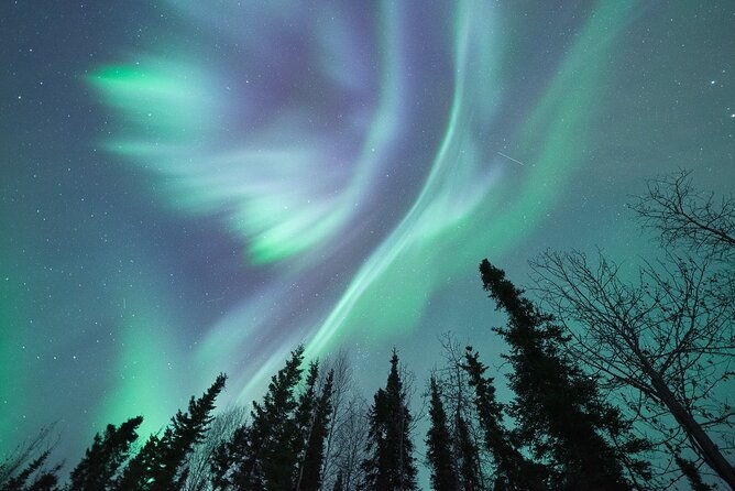 northern-lights-viewing-at-murphy-dome