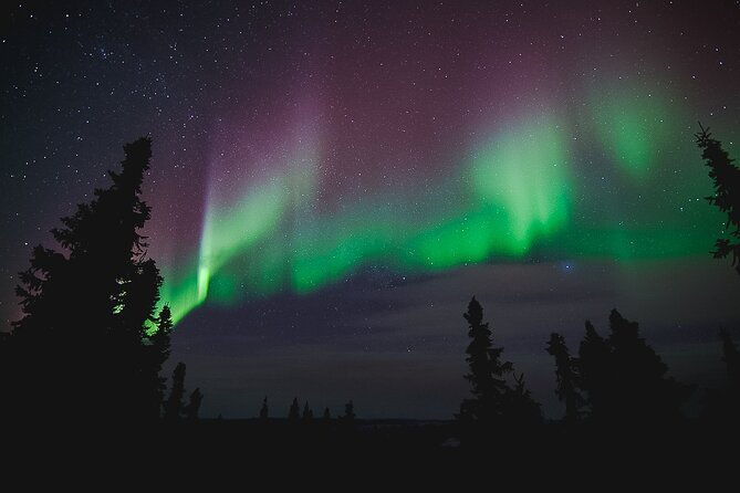 northern-lights-viewing-at-murphy-dome