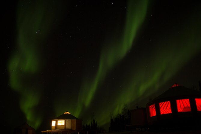 northern-lights-viewing-including-dinner-and-1-hour-dog-sledding