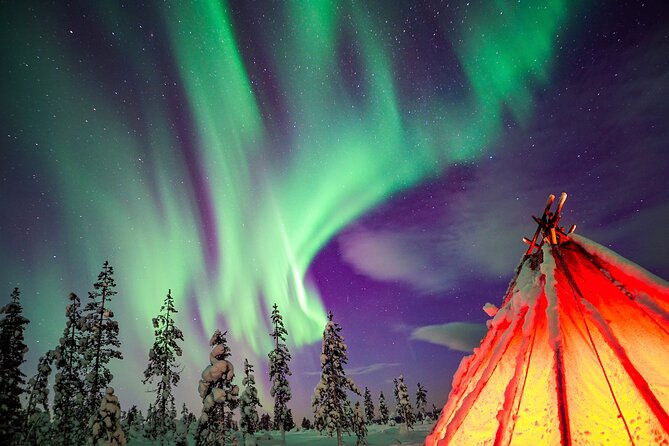 northern-lights-wilderness-small-group-tour-from-rovaniemi